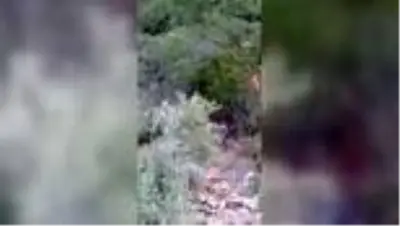 Uçuruma yuvarlanan otomobilin sürücüsü kurtarıldı Uçuruma yuvarlanan otomobilin sürücüsü kurtarıldı