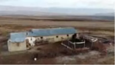 Yılın yarısını koyunlarıyla kırsalda yalnız geçiriyor Yılın yarısını koyunlarıyla kırsalda yalnız geçiriyor
