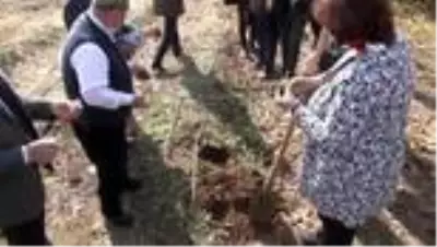 10 yıl alım garantisi var... Salep tohumları toprakla buluştu 10 yıl alım garantisi var... Salep tohumları toprakla buluştu