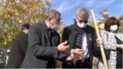 10 yıl alım garantisi var... Salep tohumları toprakla buluştu 10 yıl alım garantisi var... Salep tohumları toprakla buluştu