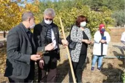 10 yıl alım garantisi var... Salep tohumları toprakla buluştu 10 yıl alım garantisi var... Salep tohumları toprakla buluştu
