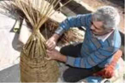 40 yıllık usta, söğüt dallarını sepete dönüştürüyor 40 yıllık usta, söğüt dallarını sepete dönüştürüyor