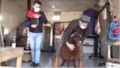 AFAD Müdürü Bülent Zeğem 27 yıl önce Karabağ için adadığı kurbanı kesti AFAD Müdürü Bülent Zeğem 27 yıl önce Karabağ için adadığı kurbanı kesti