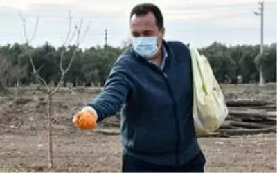 Akhisar'da Ata tohumu 'Karakılçık' buğdayı toprakla buluştu Akhisar'da Ata tohumu 'Karakılçık' buğdayı toprakla buluştu