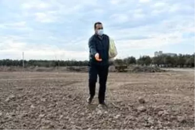 Akhisar'da Ata tohumu 'Karakılçık' buğdayı toprakla buluştu Akhisar'da Ata tohumu 'Karakılçık' buğdayı toprakla buluştu