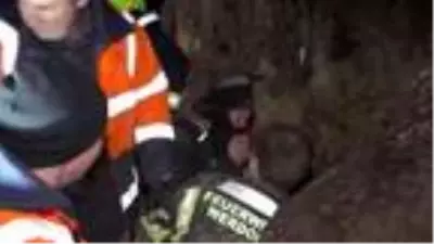 Almanya'da 4 gündür kayıp köpeği kurtaran itfaiye viral oldu Almanya'da 4 gündür kayıp köpeği kurtaran itfaiye viral oldu
