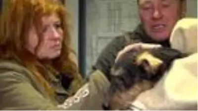 Almanya'da 4 gündür kayıp köpeği kurtaran itfaiye viral oldu Almanya'da 4 gündür kayıp köpeği kurtaran itfaiye viral oldu