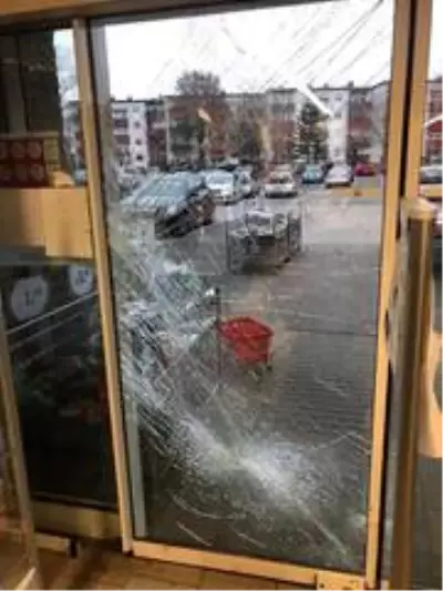 Almanya'da mağazaya dalan yaban domuzu paniğe neden oldu Almanya'da mağazaya dalan yaban domuzu paniğe neden oldu