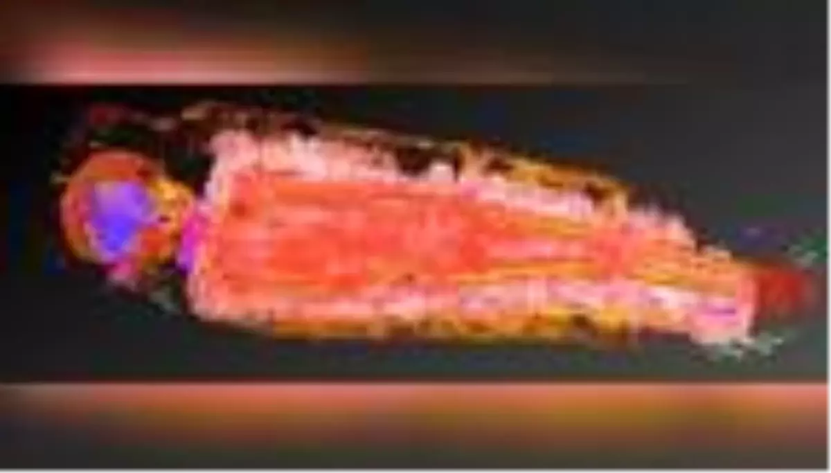 Antik Mısır mumyasını X ışınıyla tarayan bilim insanlarını şaşırtan keşif