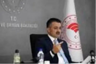 Son dakika haberi | Bakan Pakdemirli: Tarım sektörü 3'üncü çeyrekte 6.2 büyüdü Son dakika haberi | Bakan Pakdemirli: Tarım sektörü 3'üncü çeyrekte 6.2 büyüdü