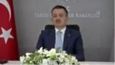 Son dakika! Bakan Pakdemirli: 'Tarım sektörü ekonomiye güç katmaya devam edecek' Son dakika! Bakan Pakdemirli: 'Tarım sektörü ekonomiye güç katmaya devam edecek'