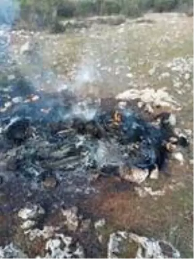 Son dakika haberleri! Bıçakla öldürdüğü arkadaşının cesedini 1 gün evinde saklayıp, ormanlık alanda yakmış Son dakika haberleri! Bıçakla öldürdüğü arkadaşının cesedini 1 gün evinde saklayıp, ormanlık alanda yakmış