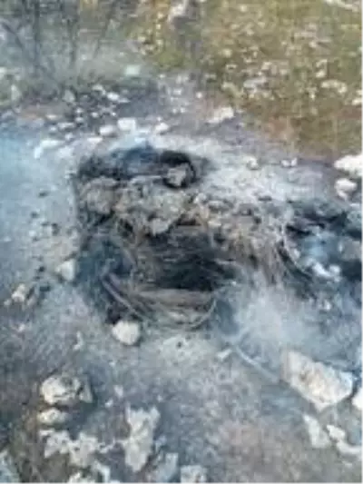 Son dakika haberleri! Bıçakla öldürdüğü arkadaşının cesedini 1 gün evinde saklayıp, ormanlık alanda yakmış Son dakika haberleri! Bıçakla öldürdüğü arkadaşının cesedini 1 gün evinde saklayıp, ormanlık alanda yakmış