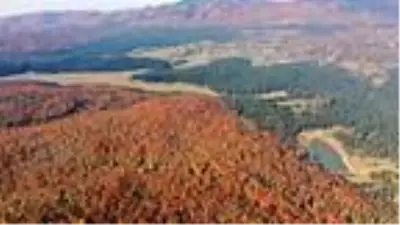 Bolu'da yaylada renk cümbüşü Bolu'da yaylada renk cümbüşü