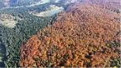 Bolu'da yaylada renk cümbüşü Bolu'da yaylada renk cümbüşü
