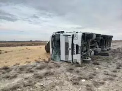 Buğday yüklü tır şarampole devrildi: 1 yaralı Buğday yüklü tır şarampole devrildi: 1 yaralı