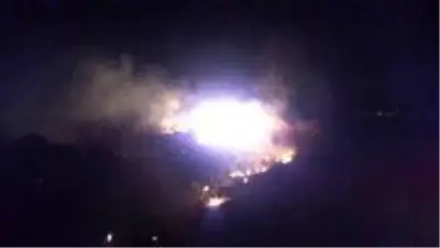 Burhaniye'de sazlık yangını korkuttu Burhaniye'de sazlık yangını korkuttu