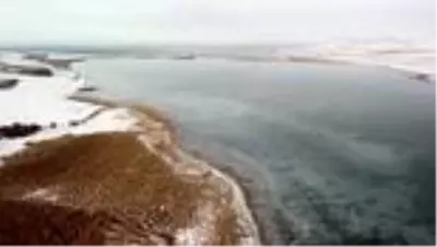 Çıldır Gölü'nde masalsı atlı kızak gezintileri başladı Çıldır Gölü'nde masalsı atlı kızak gezintileri başladı