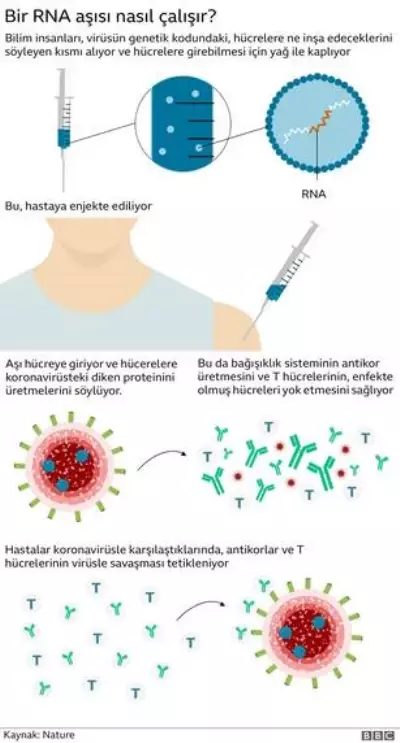 Covid aşısı: Moderna, geliştirdiği koronavirüs aşısı için ABD ve AB'de kullanım onayına başvurdu Covid aşısı: Moderna, geliştirdiği koronavirüs aşısı için ABD ve AB'de kullanım onayına başvurdu