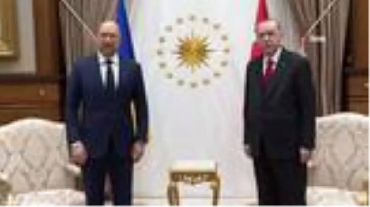 Cumhurbaşkanı Erdoğan, Ukrayna Başbakanını kabul etti