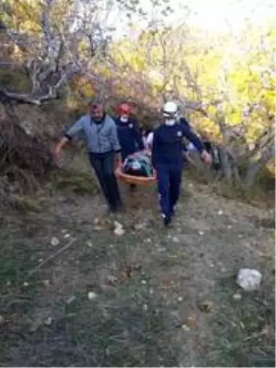 Defne keserken 30 metrelik uçuruma yuvarlanan kadın itfaiye tarafından kurtarıldı Defne keserken 30 metrelik uçuruma yuvarlanan kadın itfaiye tarafından kurtarıldı