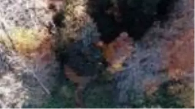 Son dakika! En yaşlı porsuk ağacının bulunduğu Gümeli ormanlarında eşsiz güzellik Son dakika! En yaşlı porsuk ağacının bulunduğu Gümeli ormanlarında eşsiz güzellik