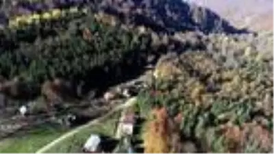 Son dakika! En yaşlı porsuk ağacının bulunduğu Gümeli ormanlarında eşsiz güzellik Son dakika! En yaşlı porsuk ağacının bulunduğu Gümeli ormanlarında eşsiz güzellik
