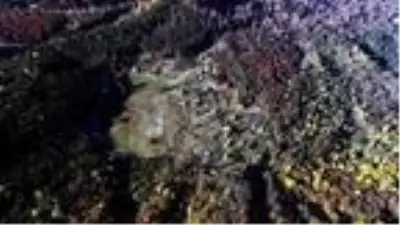 Son dakika! En yaşlı porsuk ağacının bulunduğu Gümeli ormanlarında eşsiz güzellik Son dakika! En yaşlı porsuk ağacının bulunduğu Gümeli ormanlarında eşsiz güzellik