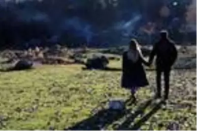 Son dakika! En yaşlı porsuk ağacının bulunduğu Gümeli ormanlarında eşsiz güzellik Son dakika! En yaşlı porsuk ağacının bulunduğu Gümeli ormanlarında eşsiz güzellik