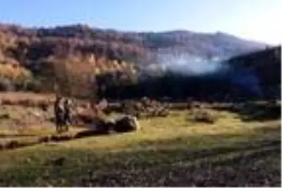 Son dakika! En yaşlı porsuk ağacının bulunduğu Gümeli ormanlarında eşsiz güzellik Son dakika! En yaşlı porsuk ağacının bulunduğu Gümeli ormanlarında eşsiz güzellik