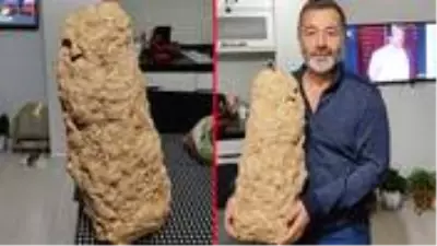 Evin çatısında bulunan dev yaban arısı yuvası, mahallelinin ilgi odağı oldu Evin çatısında bulunan dev yaban arısı yuvası, mahallelinin ilgi odağı oldu