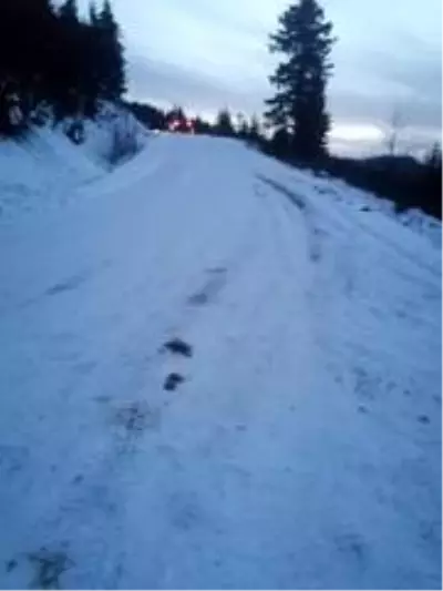 Son dakika haberleri: Giresun'da trafik kazası: 1 ölü, 2 yaralı Son dakika haberleri: Giresun'da trafik kazası: 1 ölü, 2 yaralı
