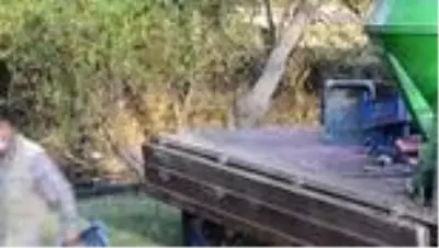 Hataylı üretici marul veriminden memnun Hataylı üretici marul veriminden memnun