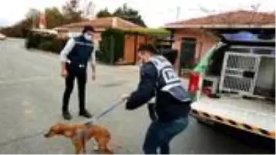 Hayvanlara yönelik cinsel içerikli paylaşımlar yapan şahıs: Sihirbazım, ironi yapmak istedim Hayvanlara yönelik cinsel içerikli paylaşımlar yapan şahıs: Sihirbazım, ironi yapmak istedim