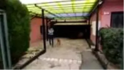 Son Dakika | Hayvanlara yönelik cinsel içerikli söylemler paylaşan şahsa gözaltı Son Dakika | Hayvanlara yönelik cinsel içerikli söylemler paylaşan şahsa gözaltı