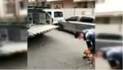 Hayvanlara yönelik cinsel içerikli paylaşımlar yapan şahıs: Sihirbazım, ironi yapmak istedim Hayvanlara yönelik cinsel içerikli paylaşımlar yapan şahıs: Sihirbazım, ironi yapmak istedim