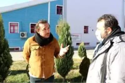 Hollywood'un gözü Türk oyuncularda Hollywood'un gözü Türk oyuncularda