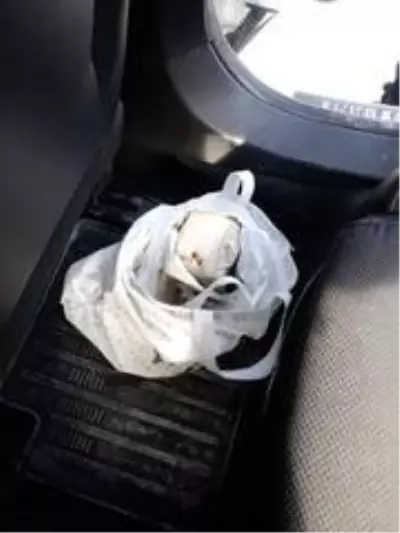- Eroinle yakalanan Kadir Şeker'in kurtardığı kadın adliyeye sevk edildi - Eroinle yakalanan Kadir Şeker'in kurtardığı kadın adliyeye sevk edildi