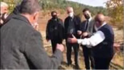 KAHRAMANMARAŞ - Maraş dondurmasına lezzetini veren salep fideleri toprakla buluşturuldu KAHRAMANMARAŞ - Maraş dondurmasına lezzetini veren salep fideleri toprakla buluşturuldu