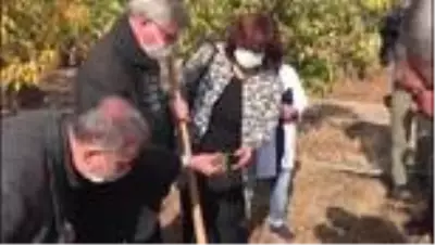 KAHRAMANMARAŞ - Maraş dondurmasına lezzetini veren salep fideleri toprakla buluşturuldu KAHRAMANMARAŞ - Maraş dondurmasına lezzetini veren salep fideleri toprakla buluşturuldu