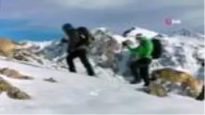 Kangallar dağcılarla zirve yaptı Kangallar dağcılarla zirve yaptı