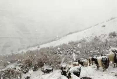 Kar yağdı dağda mahsur kaldılar Kar yağdı dağda mahsur kaldılar