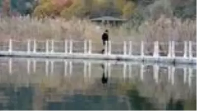 Karabük ormanları sonbahar güzelliğiyle hayranlık uyandırıyor Karabük ormanları sonbahar güzelliğiyle hayranlık uyandırıyor