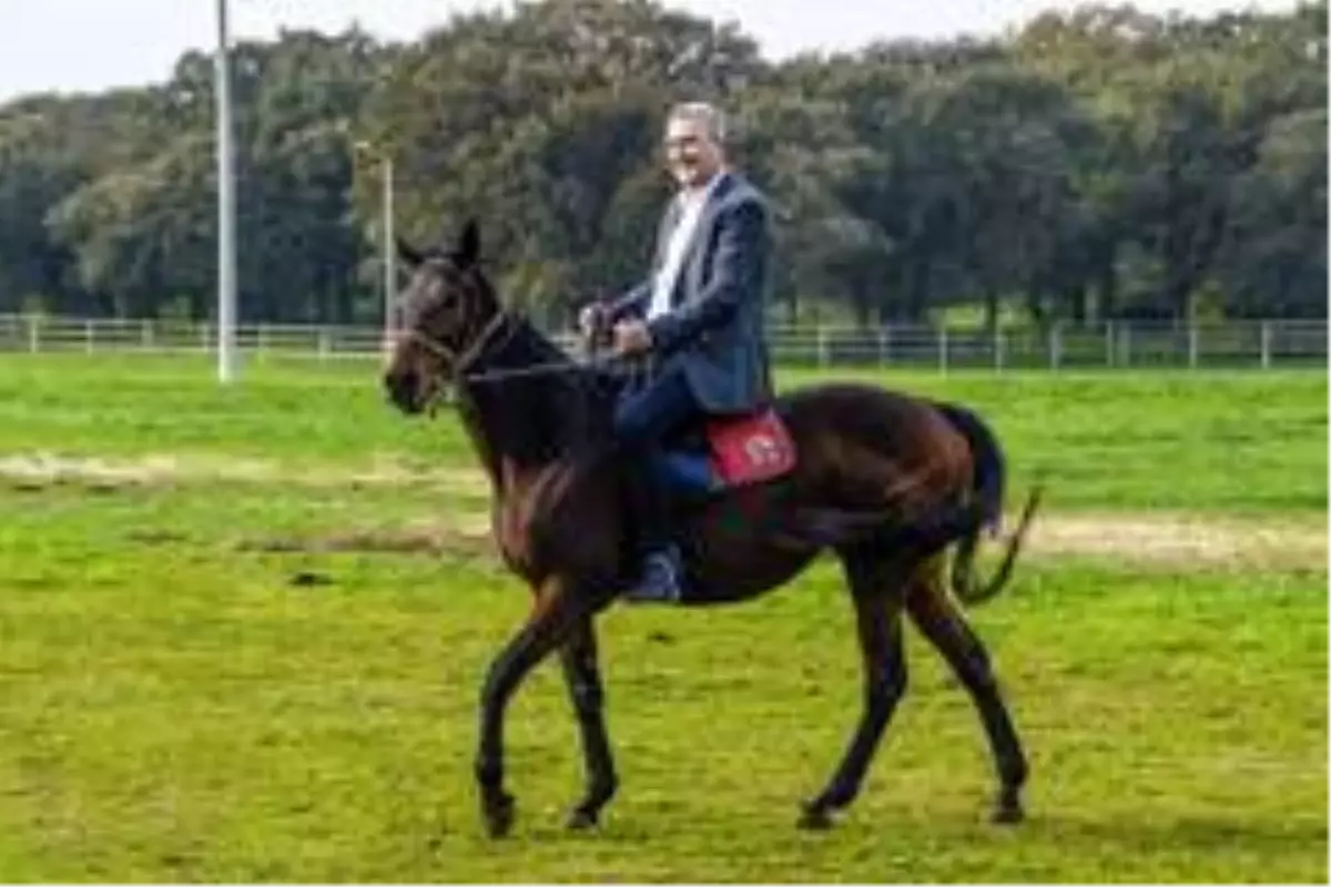 Karacabey'de Fenerbahçe maçı heyecanı