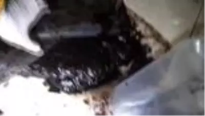 Kargo şirketinde 64 kilo 280 gram afyon sakızı ele geçirildi Kargo şirketinde 64 kilo 280 gram afyon sakızı ele geçirildi