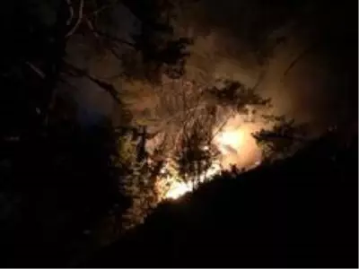 Son dakika gündem: KASTAMONU - Araç'ta orman yangını (2) Son dakika gündem: KASTAMONU - Araç'ta orman yangını (2)