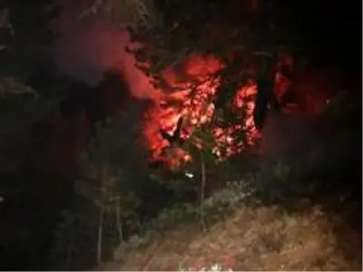 Son dakika gündem: KASTAMONU - Araç'ta orman yangını (2) Son dakika gündem: KASTAMONU - Araç'ta orman yangını (2)