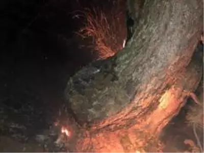 Son dakika gündem: KASTAMONU - Araç'ta orman yangını (2) Son dakika gündem: KASTAMONU - Araç'ta orman yangını (2)