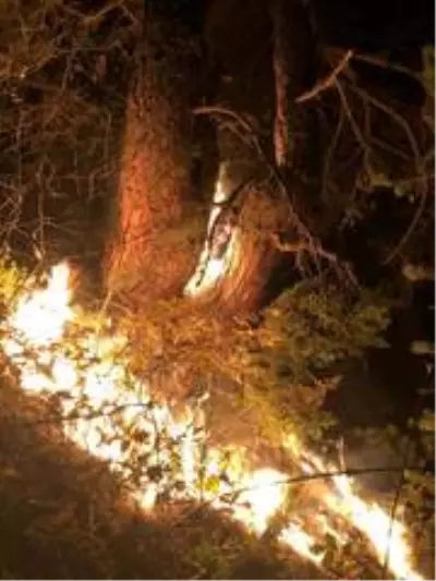 Son dakika gündem: KASTAMONU - Araç'ta orman yangını (2) Son dakika gündem: KASTAMONU - Araç'ta orman yangını (2)