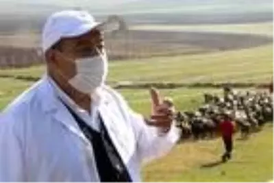 Keçi sütü ve salep üretene 10 yıl alım garantisi Keçi sütü ve salep üretene 10 yıl alım garantisi